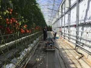 Kasvloer Adrichem - injecteren